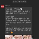 레푸스미아 이미지