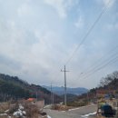 초부4리 네이버블로그