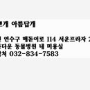 아름답개 이미지