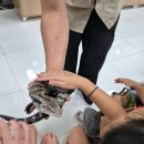 양주곤충박물관 이미지