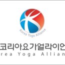 에코요가센터