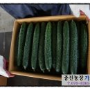 종진농장 이미지