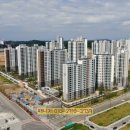 수청2지구 소나무 이미지