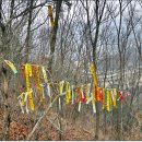 삼죽면사무소 이미지