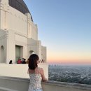 8월 미국 LA 여행 모음집 : 할리우드 거리, 베버리힐즈, 그리피스 천문대, 산타모니카 비치, 베니스...