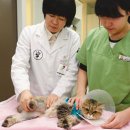 두암한방병원 이미지