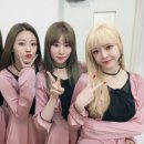 다쇼