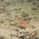 홍제교 밑 이미지