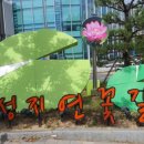 성지연꽃길 이미지