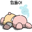 멍퍼피 이미지