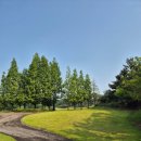 파나시아골프클럽 | ⛳️ [방문후기] 안양 1시간 “18홀을 함께 걸으며 마음도 가까워진 날 파나시아CC 라운딩 이야기”