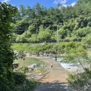 밤나무골 농장 이미지