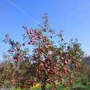 류가농장 이미지