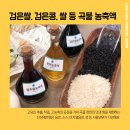 진성무역