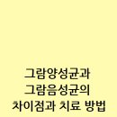 그람 이미지