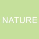 CICA미술관 이미지