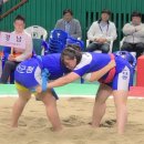 구례실내체육관 네이버블로그
