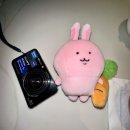 롯데호텔월드 더 라운지 앤 바 Must be Strawberry World : 5th Anniversary 2025 딸기뷔페 후기 🍓