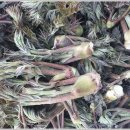 김주일농장 이미지