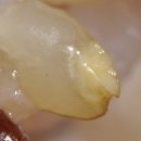 왕눈이PC 이미지