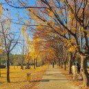 윤희순 동상 | 춘천 가을 단풍 명소 공지천 유원지 산책