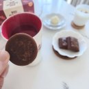 보타니 | 환절기 면역력 챙기기 세람비 보타니 레드진저 생강차 솔직 후기 (고형차 추천)