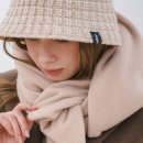 택소프트 이미지