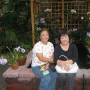 보타니칼 이미지