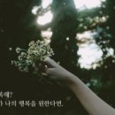 레이디폼 이미지