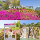 탄금공원 야외화장실(동산) | 2026년 군포철쭉축제 첫날 다녀온 수리산 군포철쭉동산 실시간