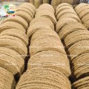 코이어(coir)