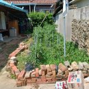 대구이용소 이미지