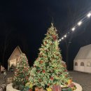 증평제일삼화가스 | 가족여행 4성급 리조트 - 벨포레리조트 (룸컨디션, 조식, 부대시설, 골프CC, 35평, 위치, 가격, 식당...