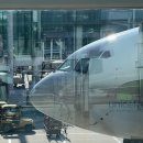 왕전곱창집 | 상하이 여행 후기 🏯✈️