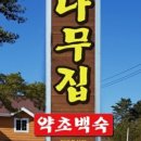 소나무집 이미지