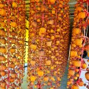 덕장농장 이미지