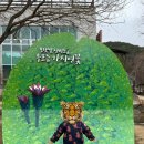 창녕 우포늪 | 창녕 우포늪 자전거 대여 후기 | 아이랑 타기 좋은 우포늪생태관 라이딩