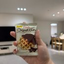 펫 챔 | 26.02.16 - 26.02.22 일상 설날주간 정말 바쁘다 바빠