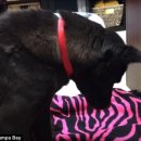 세인농장 이미지