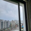 방충시대 이미지