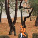 영흥리(광장) 이미지