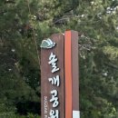오남근린 물놀이공원 | [울산/추천] 여름 물놀이&amp;해루질&amp;캠핑 스팟! 울산 솔개공원(근린공원)