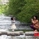 엄마김치 이미지