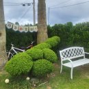 제주놀3320 이미지