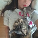 김치부심 많은 우리엄마-(일요일 일상) 이미지