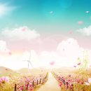 하동북천코스모스메밀꽃 영농조합법인 이미지