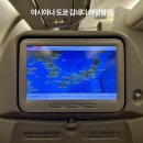 1065 | 아시아나 마일리지 소멸 전 김네다 OZ1065 도쿄 마일리지 항공권 탑승후기