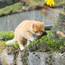 삼송동물병원 이미지