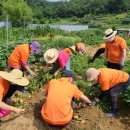 부천아트센터 대공연장 이미지