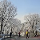 애기봉 평화생태공원 이미지